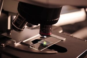 Understanding your results